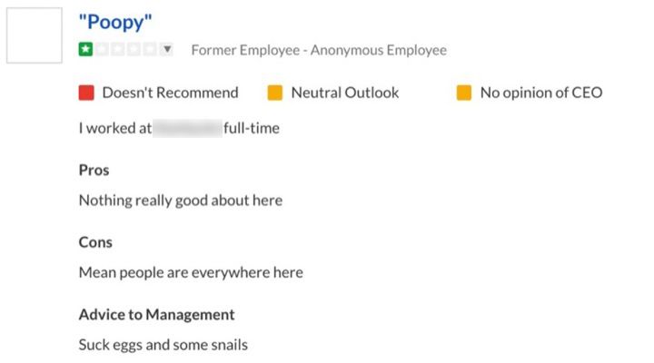 Funny Glassdoor Reviews