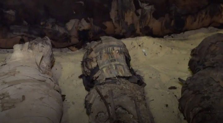 Mummies Discovered Story